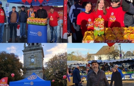 Lutte en faveur de l'éradication de la polio